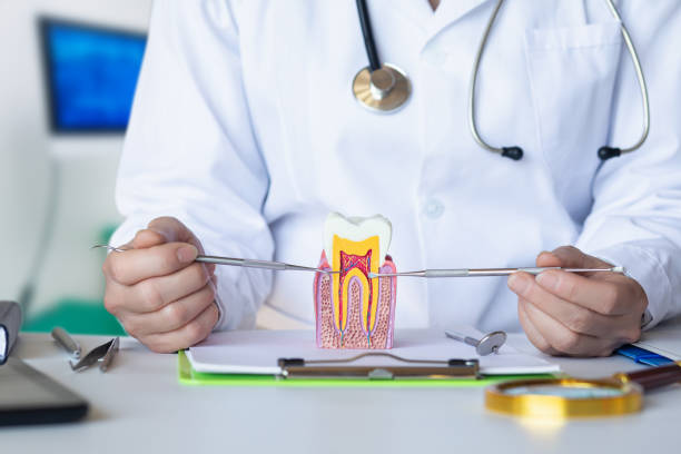 Best Pediatric Emergency Dentist in Smoke Rise, AL
